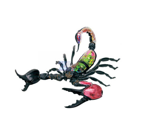 Modelo de anatomía de escorpión
