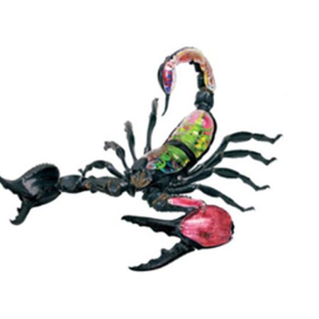 Modelo de anatomía de escorpión