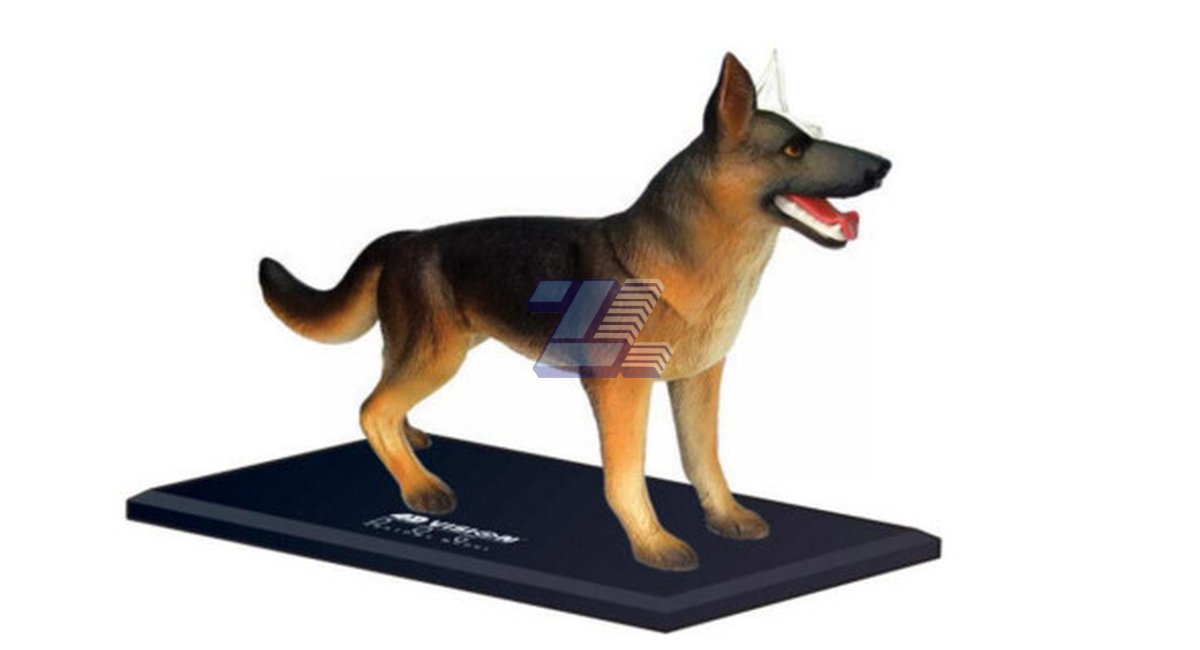 Modelo de anatomía perro raza pastor alemán - Imagen 3