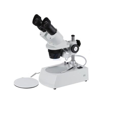 Lupa binocular