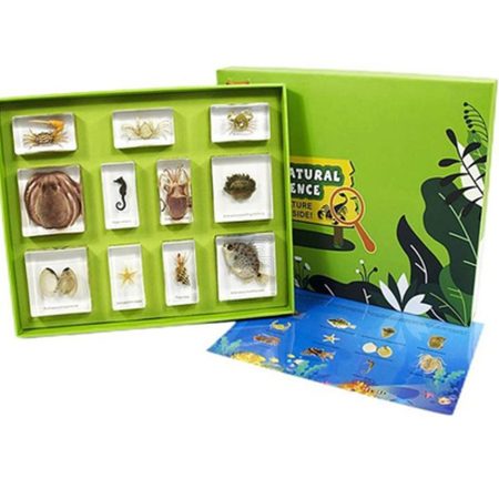 KIT animales marinos